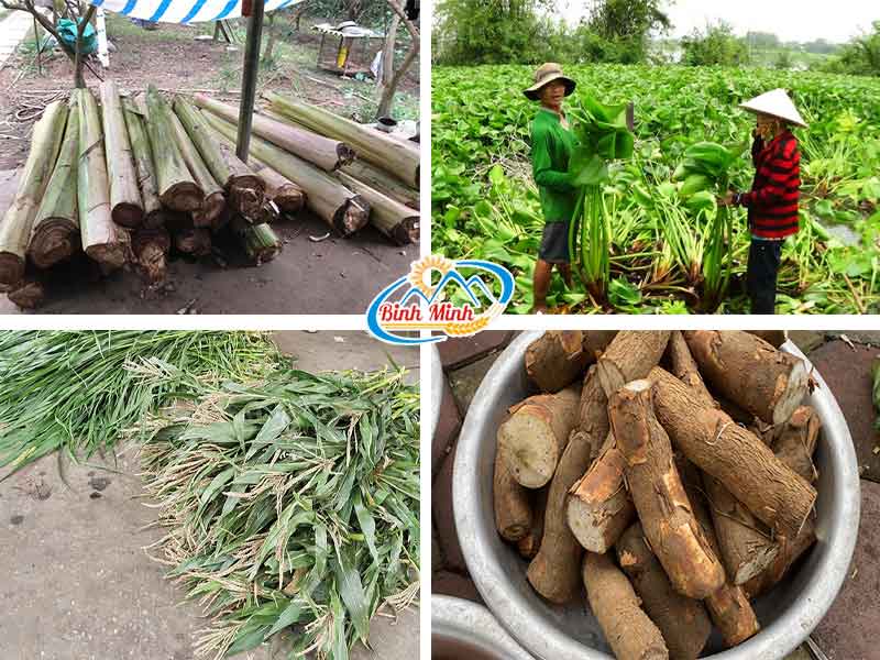 máy băm chuối mịn