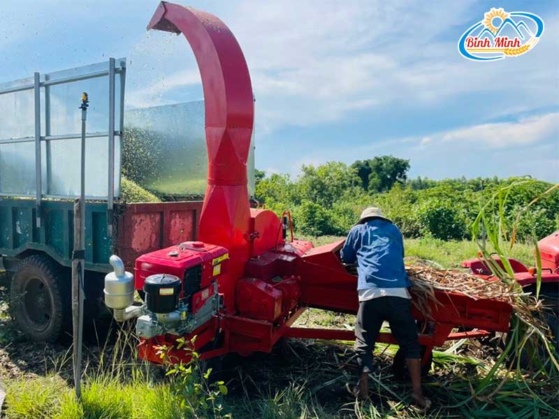 máy băm cỏ lắp đầu nổ