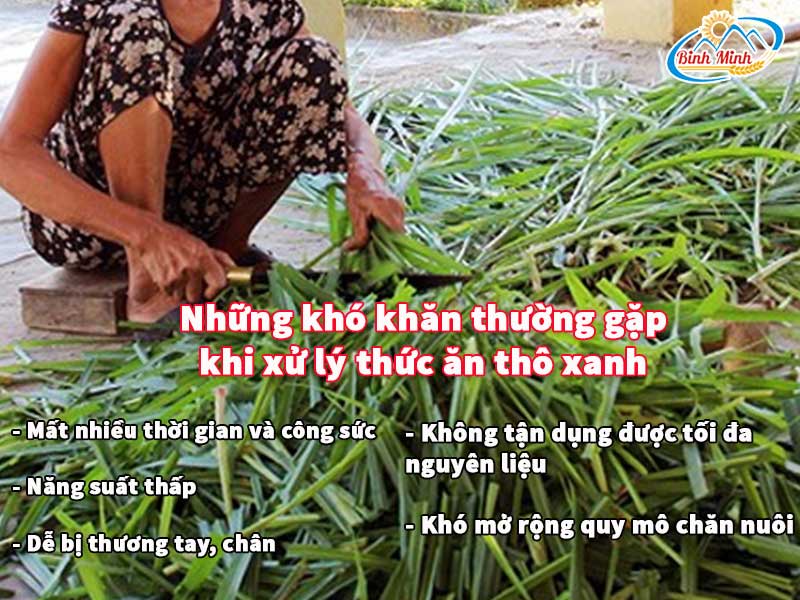 máy băm cỏ đa năng