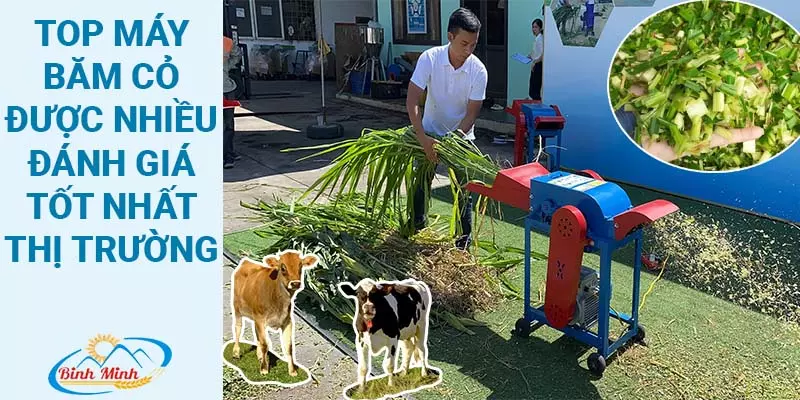 máy băm cỏ giá rẻ cho bò