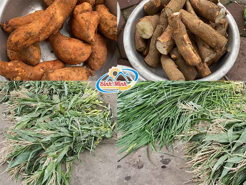 nguyên liệu băm của máy băm cỏ mini