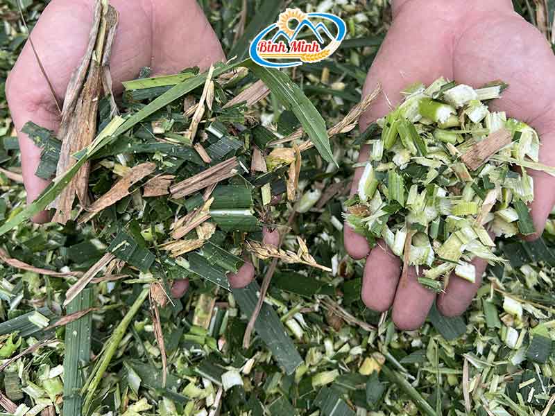 thành phẩm sau khi băm