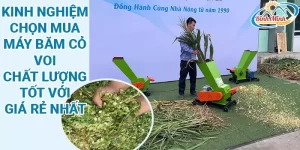 máy băm cỏ voi