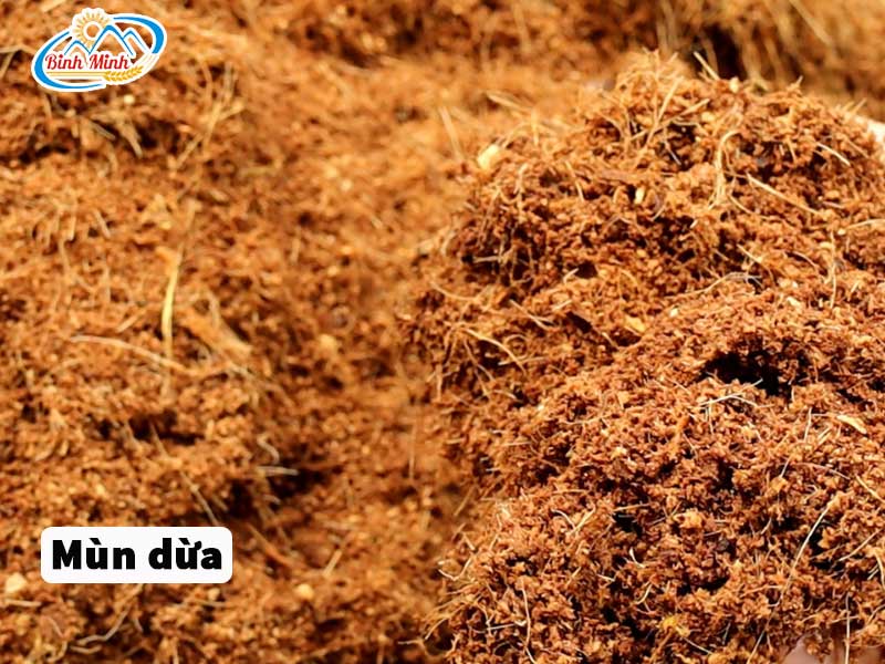 mùn dừa sau khi băm