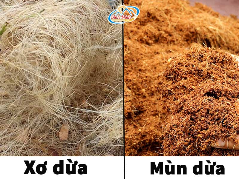xơ dừa và mùn dừa