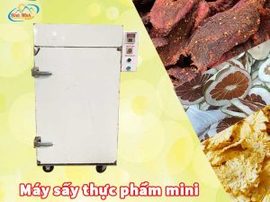 máy sấy thực phẩm mini
