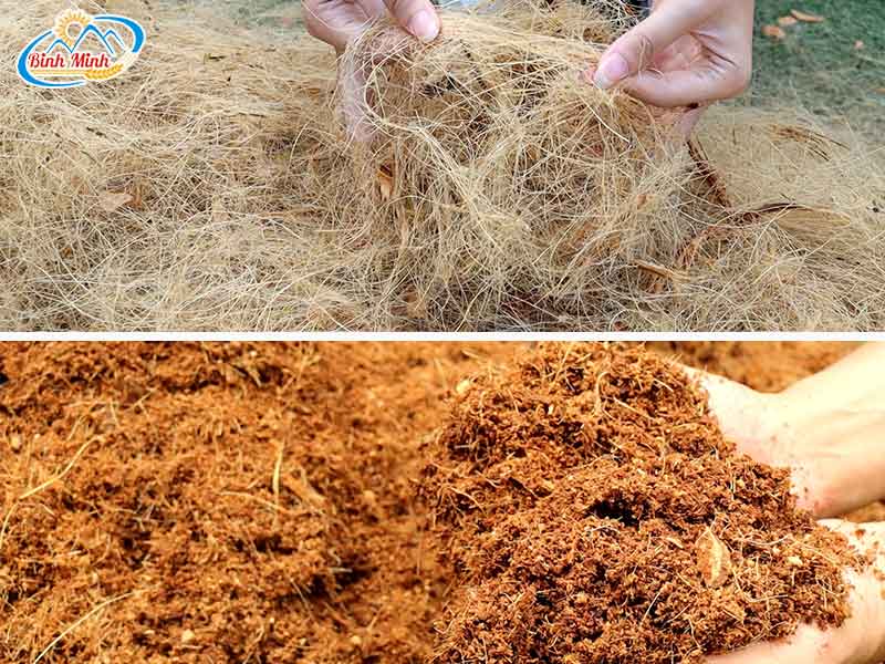 xơ dừa và mùn dừa
