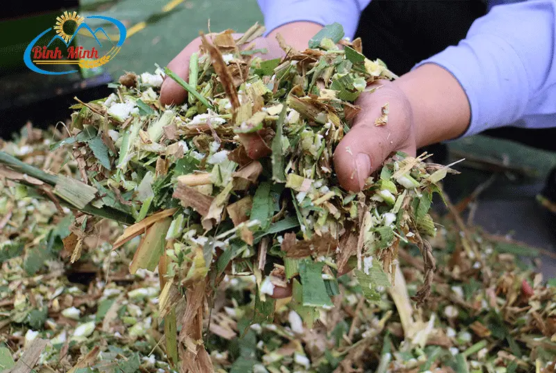 bam-co-cho-bo_result222