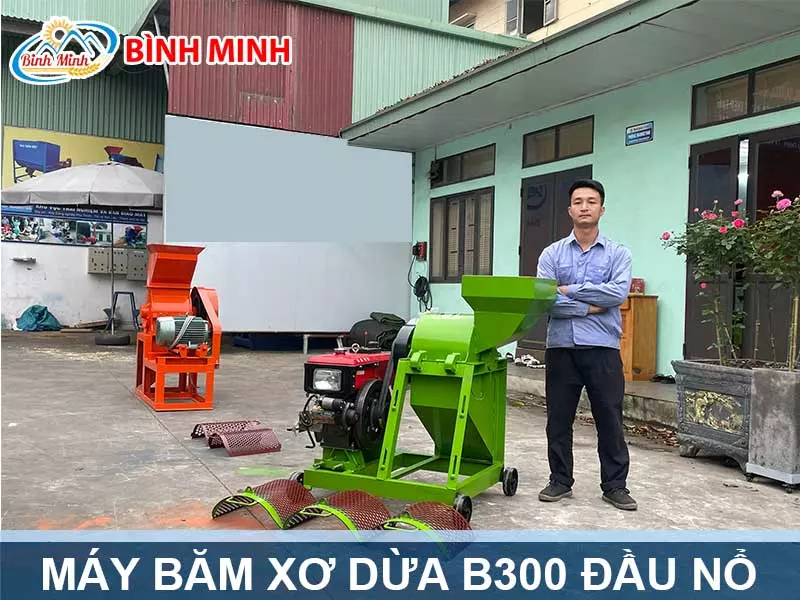 May-bam-xo-dua-B300-dau-no