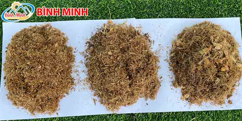 thanh-pham-may-bam-xo-dua-B300