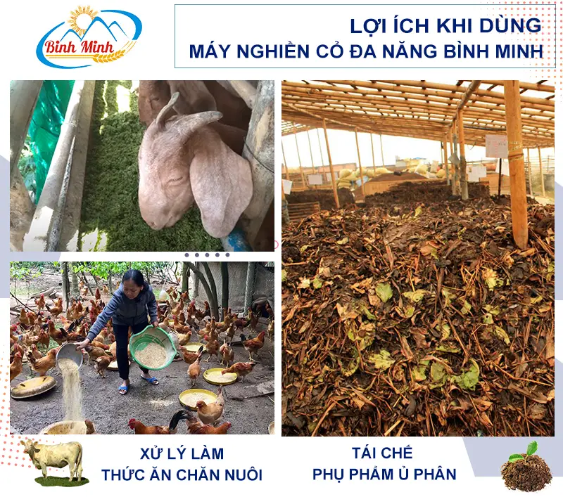 loi-ich-khi-dung-may-nghien-co-da-nang-binh-minh_result222