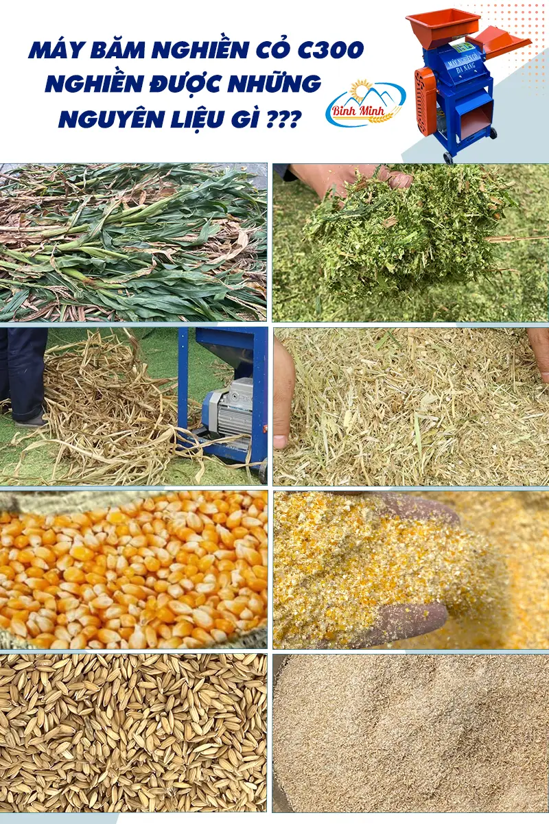 may-bam-nghien-co-c300_result222
