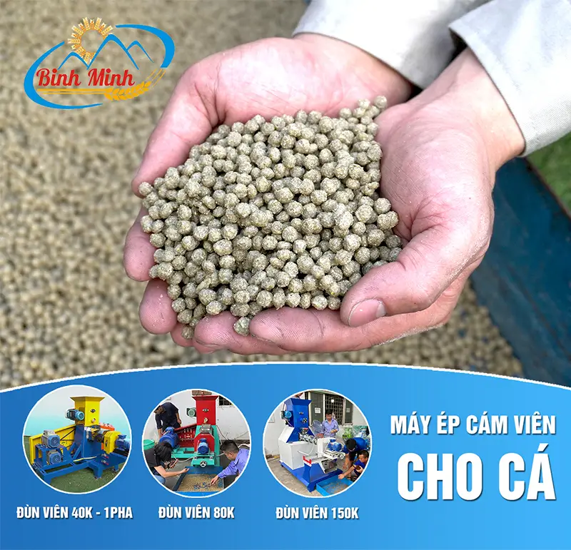 may-ep-cam-vien-cho-ca_result222