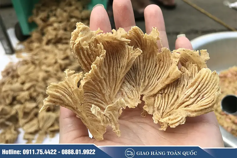 ba-dau-lac_result222