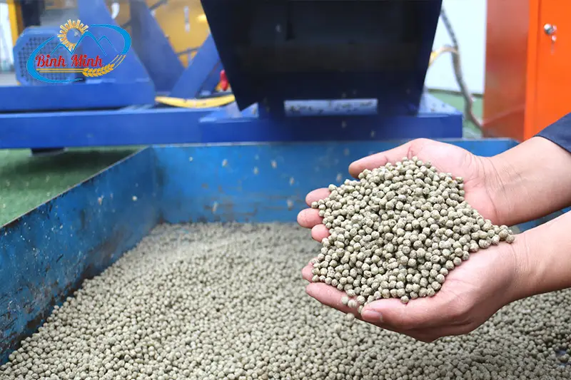 cho-ca-an-cam-vien_result222