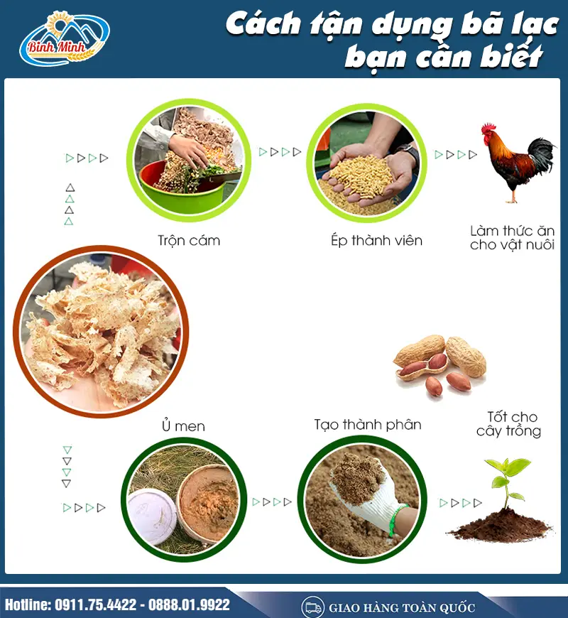 tac-dung-cua-ba-lac_result222