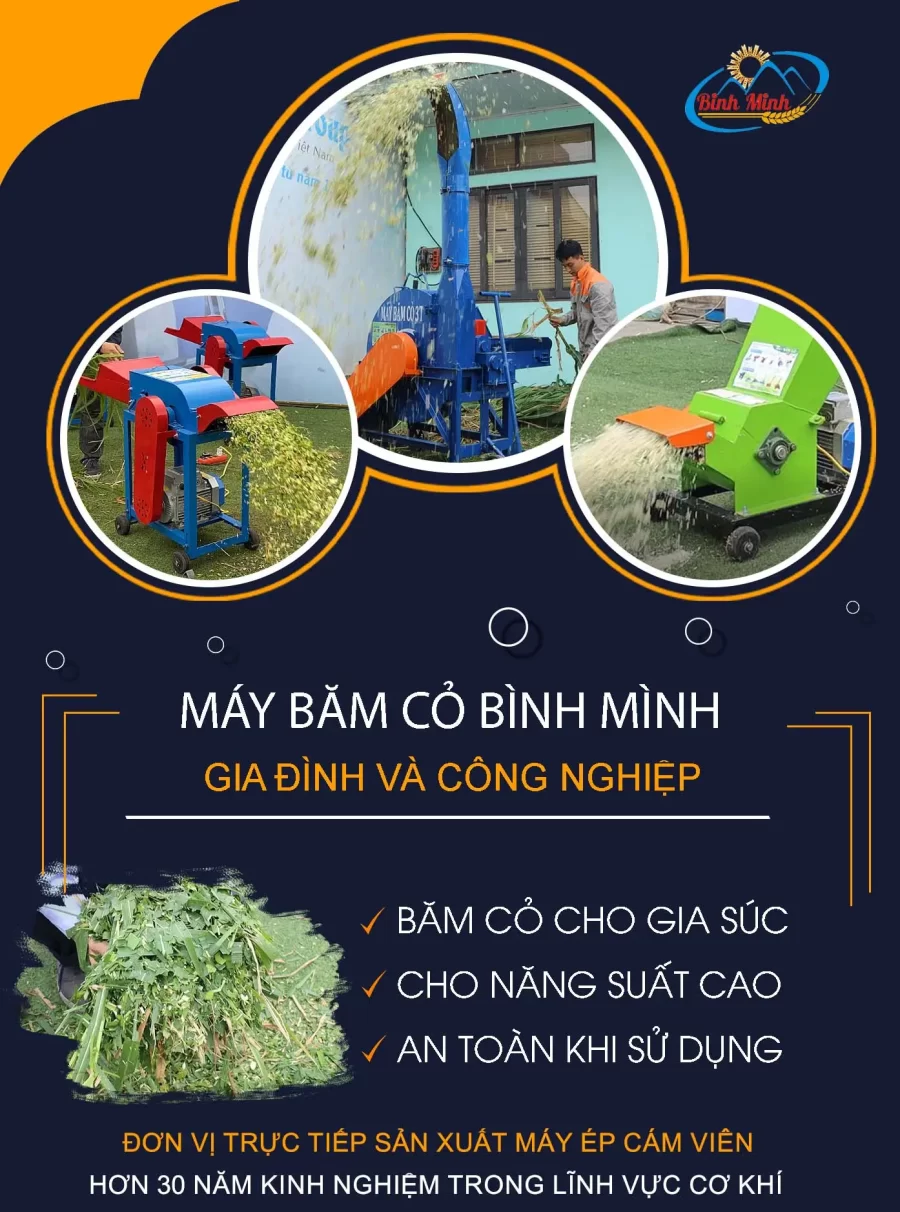 may-bam-co-binh-minh_result222