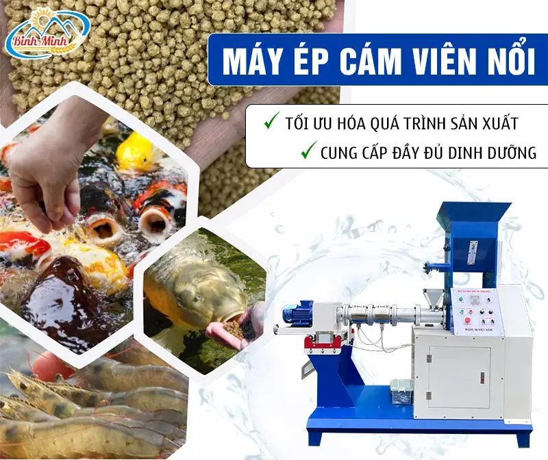 may-ep-cam-ca-noi