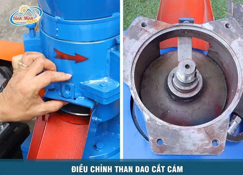 thanh-dao-cat-cam_result222