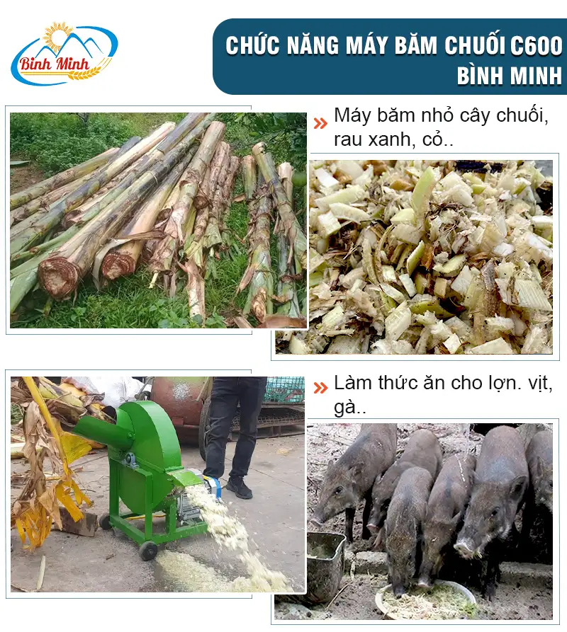 chuc-nang-may-bam-chuoi-c600_result222