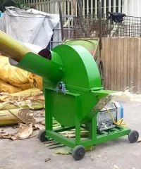 may-thai-chuoi_result222