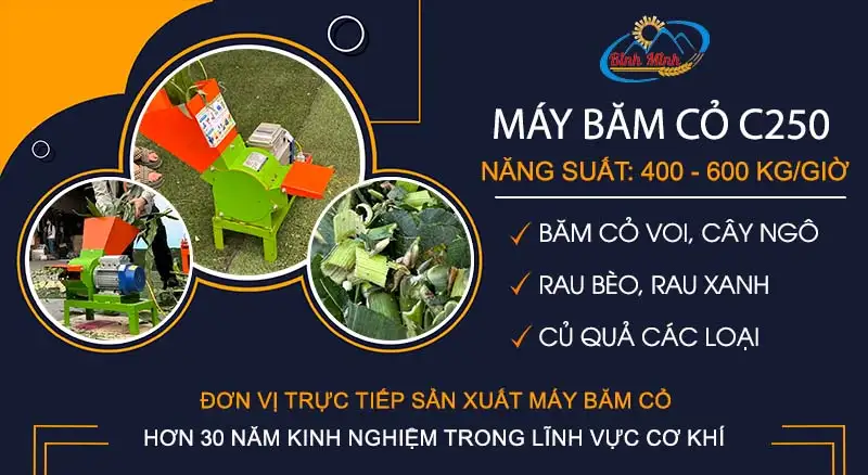 may-bam-co-c250-binh-minh_result222