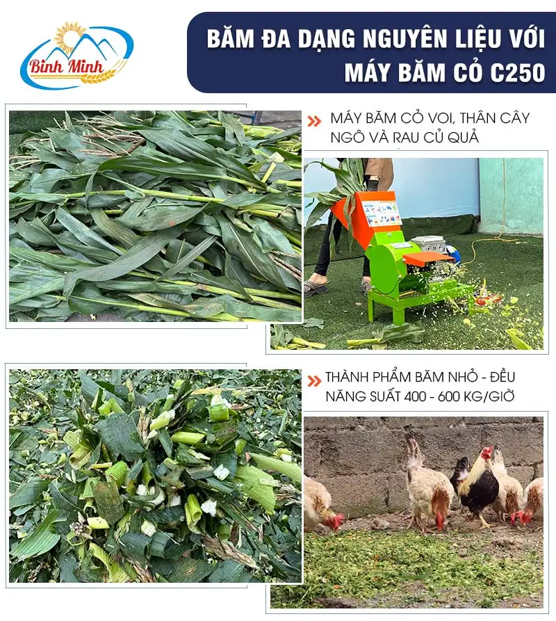 may-bam-co-cho-bo_result222