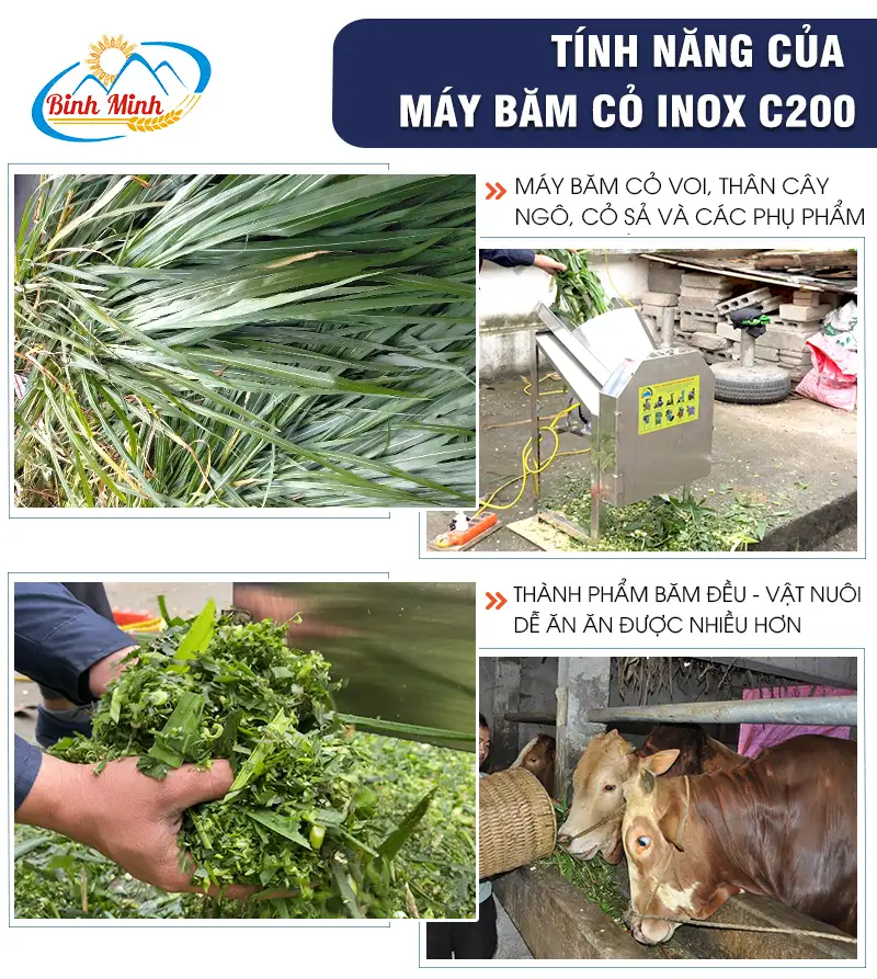 may-bam-co-cho-bo_result222