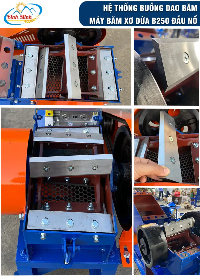 dao-bam-xo-dua_result222