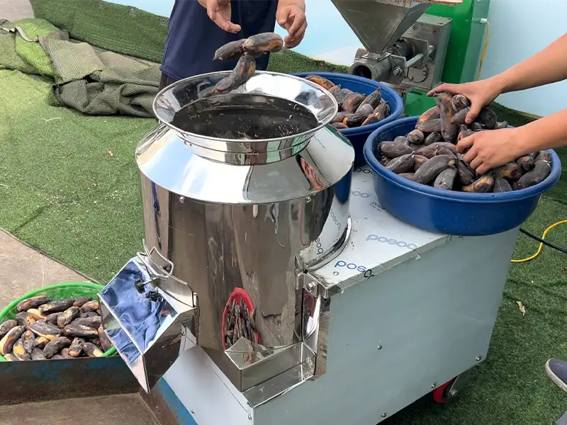 may-xay-chuoi_result222