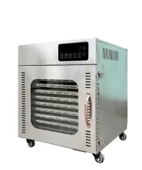 may-say-10-khay-inox_result