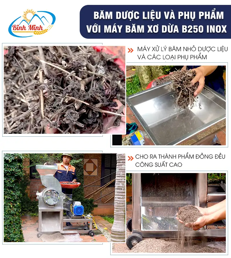 may-bam-xo-dua-b250-inox-bam-duoc-lieu_result222