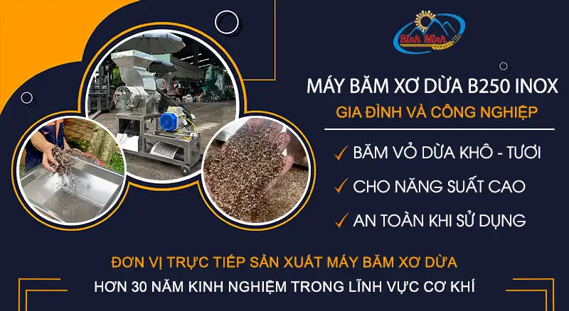 may-bam-xo-dua-b250-inox-binh-minh_result222