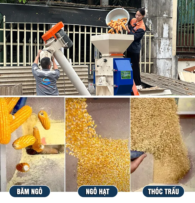 may-nghien-ngo-hat_result