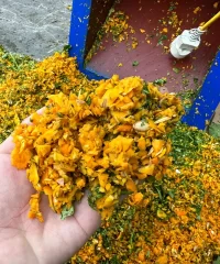 bam-rau-cho-lon_result222