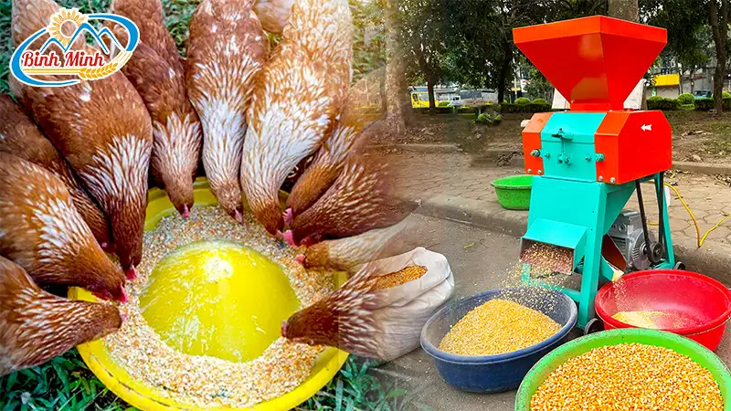 may-nghien-ngo-cho-gA_result222