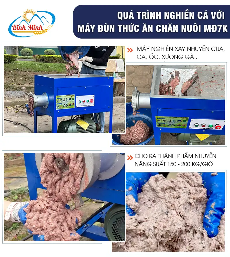 may-xay-ca-3-pha_result222