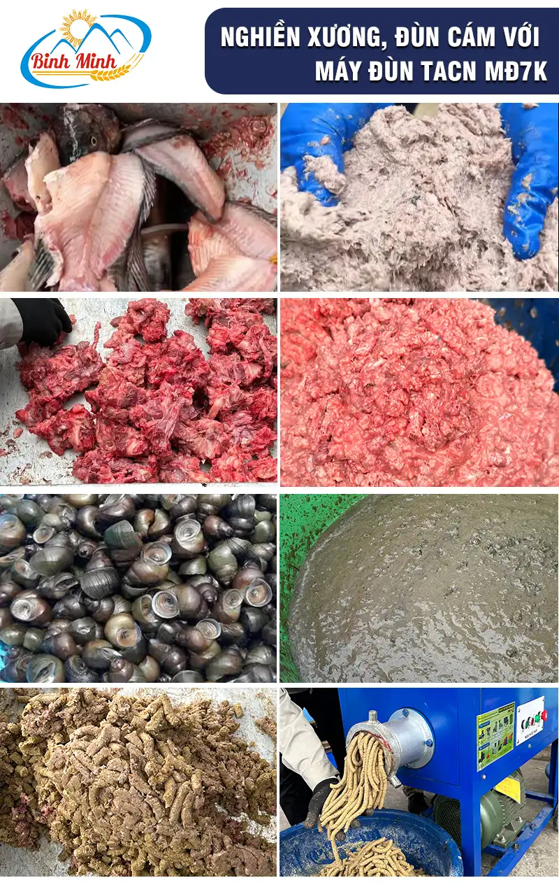 may-xay-xuong_result222