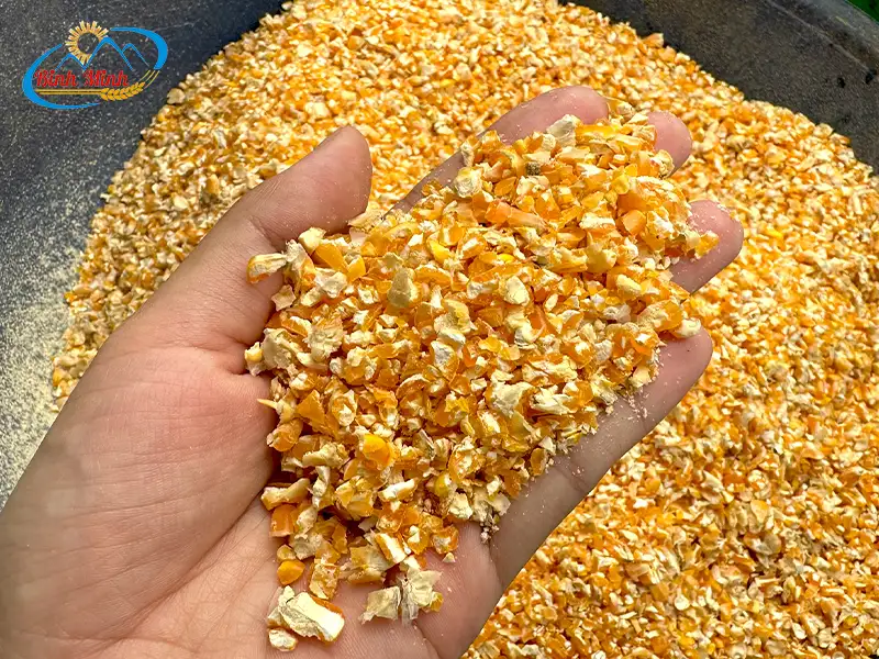 ngo-vo-manh-cho-ga_result222