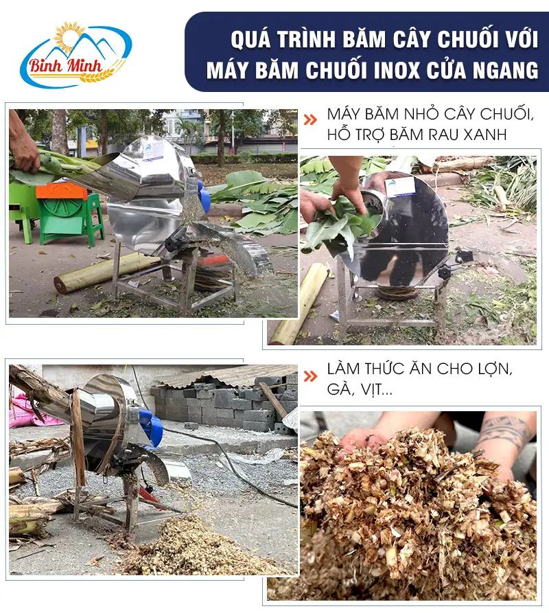 may-bam-chuoi-inox-750w-binh-minh_result222