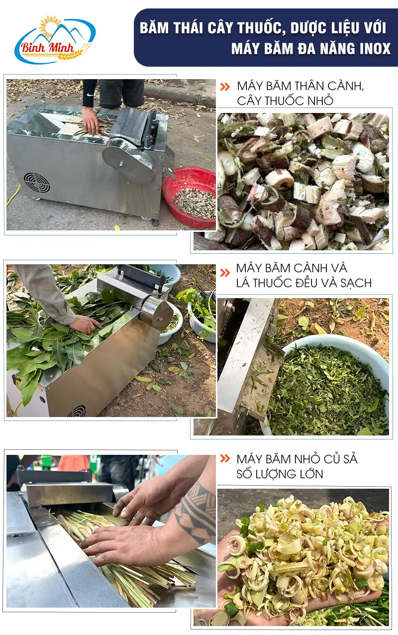 may-bam-duoc-lieu-1-pha_result222