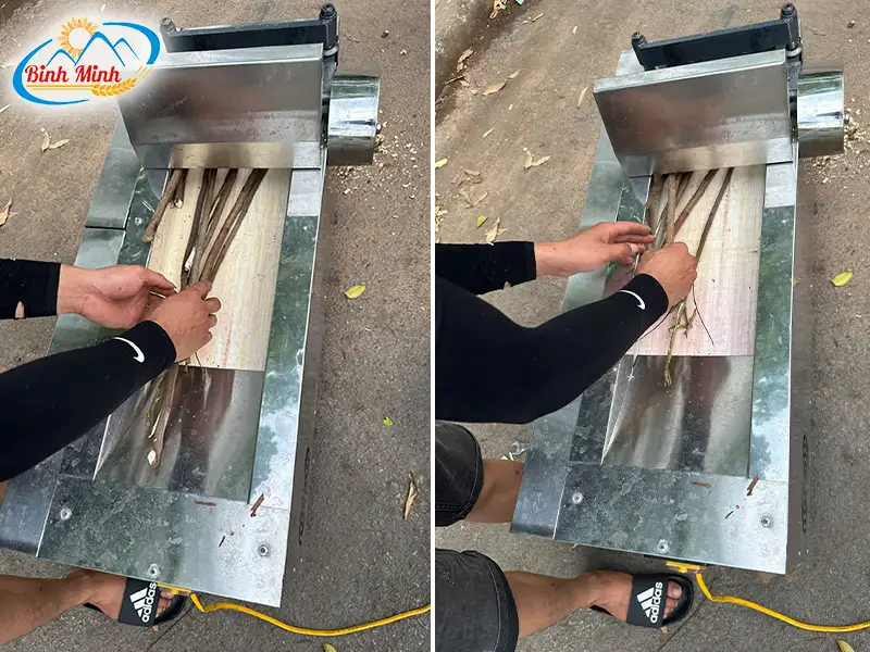 may-thai-duoc-lieu_result222