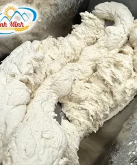 may-tron-bot-mi_result222