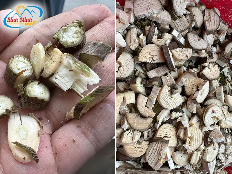 thai-cay-thuoc_result222