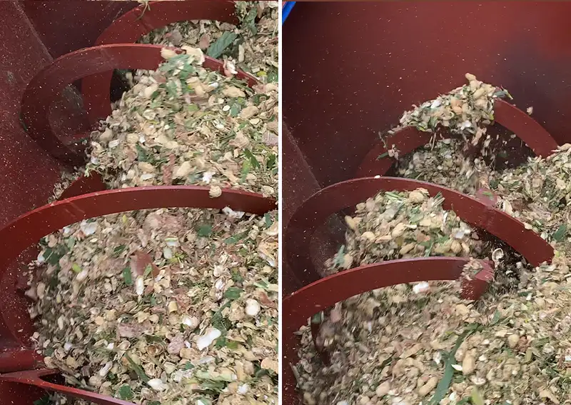 trong-bot-cam_result222