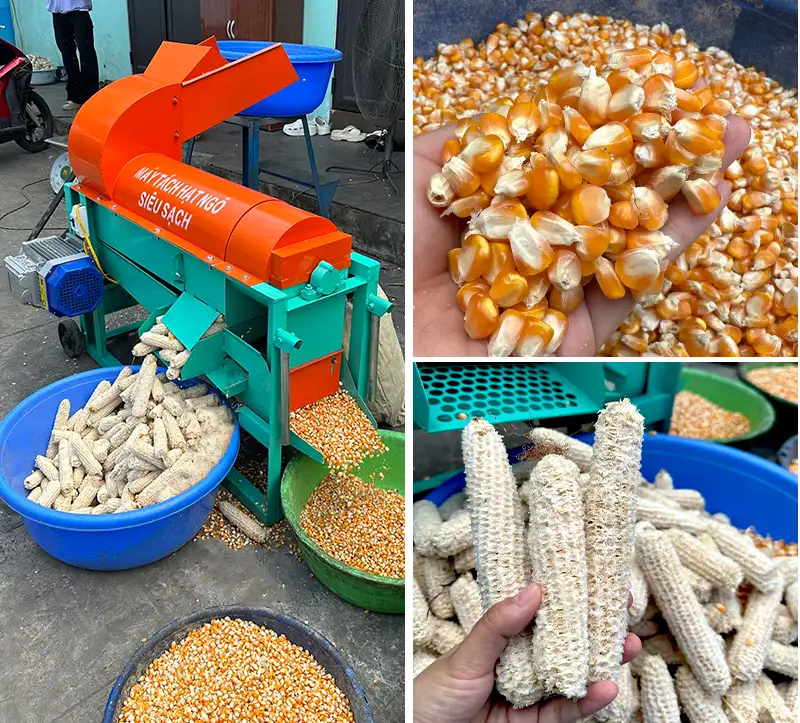 may-tach-ngo-hat_result222