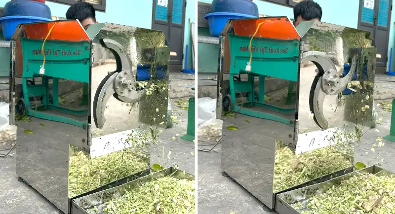 may-thai-cu-sa_result222