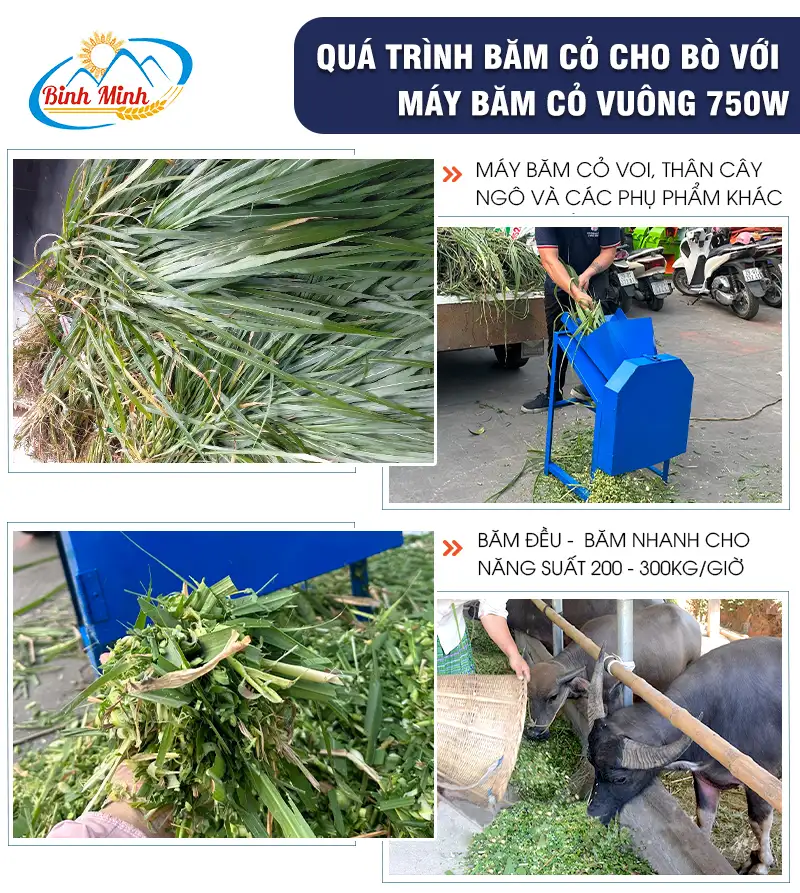 may-bam-co-cho-bo_result222