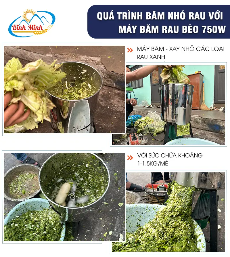 may-bam-rau-cho-ga_result222