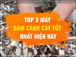 may-bam-canh_result